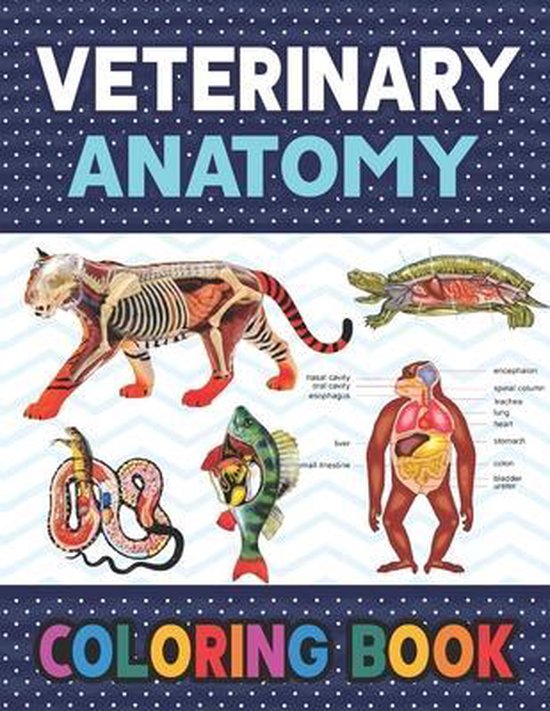 Veterinary Anatomy Coloring Book - cover
