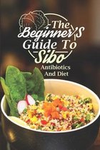 The Beginner'S Guide To Sibo: Antibiotics And Diet