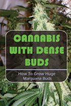 Cannabis With Dense Buds: How To Grow Huge Marijuana Buds