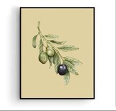 Poster Olijf Takje Geel Groente / Fruit Poster Handgetekend - Keuken - Muurdecoratie - 80x60cm - PosterCity