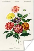 Poster Botanica - Vintage - Bloemen - 60x90 cm