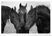 JUNIQE - Poster Black and White Horses -20x30 /Grijs & Zwart