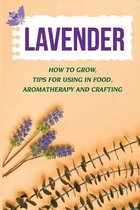 Lavender: How To Grow, Tips For Using In Food, Aromatherapy And Crafting