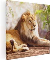 Artaza - Peinture sur Canevas - Lion rugissant - Blanc Blanc - 40x40 - Petit - Photo sur Toile - Impression sur Toile