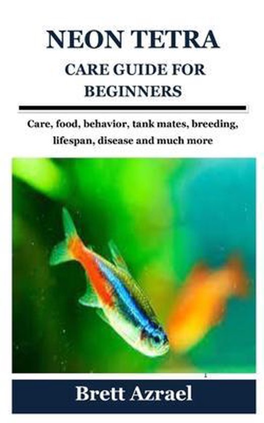 Neon Tetra Care Guide for Beginners