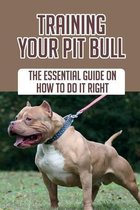 Training Your Pit Bull: The Essential Guide On How To Do It Right