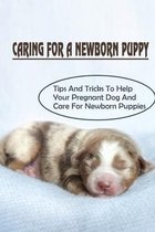 Caring For A Newborn Puppy: Tips And Tricks To Help Your Pregnant Dog And Care For Newborn Puppies