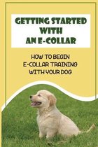 Getting Started With An E-Collar: How To Begin E-Collar Training With Your Dog