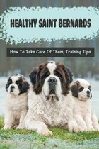 Healthy Saint Bernards: How To Take Care Of Them, Training Tips
