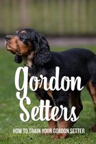 Gordon Setters: How To Train Your Gordon Setter