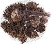 Dennenappels Decoratie Set - Herfstdecoratie - Winter - Kerstdecoratie - Gemixt Natuur Hout - 2cm