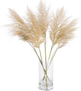 Pampas Pluimen XL - Droogbloemen - Fluffy - 5 stuks - Pampasgras - Cortaderia - 90cm