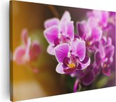 Artaza Canvas Schilderij Paarse Orchidee Bloemen - 90x60 - Foto Op Canvas - Canvas Print - Muurdecoratie