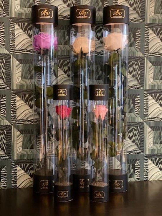 Rose tige chic - cadeau 30 cm - rouge - cadeau rose longue vie - rose longue  vie simple | bol.com