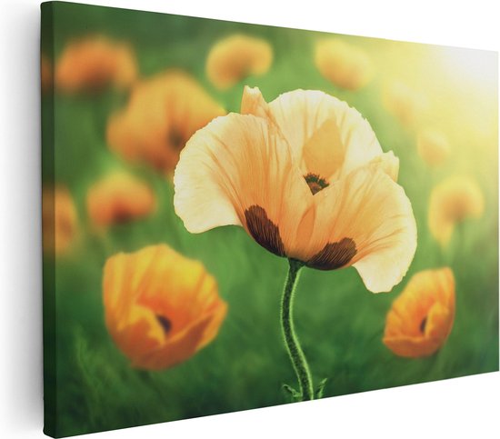 Artaza Canvas Schilderij Oranje Klaproos Bloemen  - 30x20 - Klein - Foto Op Canvas - Canvas Print