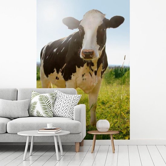 Papier peint - Papiers Papier peint photo Vache - Animaux - Macro - Soleil - Largeur 145 cm x Hauteur 220 cm