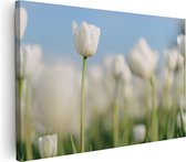 Artaza Canvas Schilderij Witte Tulpen - Bloemen - 90x60 - Foto Op Canvas - Canvas Print - Muurdecoratie