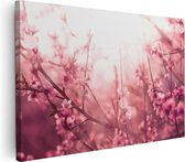 Artaza Canvas Schilderij Roze Bloesemboom Met Zonneschijn - 90x60 - Foto Op Canvas - Canvas Print - Muurdecoratie