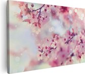 30 cm x 20 cm