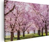 Artaza Canvas Schilderij Roze Bloesembomen Park - Bloemen - 120x80 - Groot - Foto Op Canvas - Wanddecoratie Woonkamer