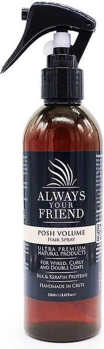 Always Your Friend Posh - Vachtspray voor extra Volume - 250 ml - ALWAYS YOUR FRIEND