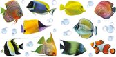 raamstickers Tropical Fish 62 x 31 cm vinyl 25-delig