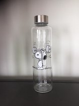 Snoopy Glazen Drinkfles