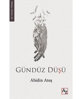 Gündüz Düşü