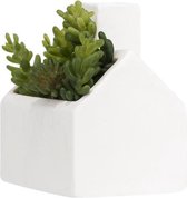 vaas Cottage 5,1 x 3,6 cm steen wit