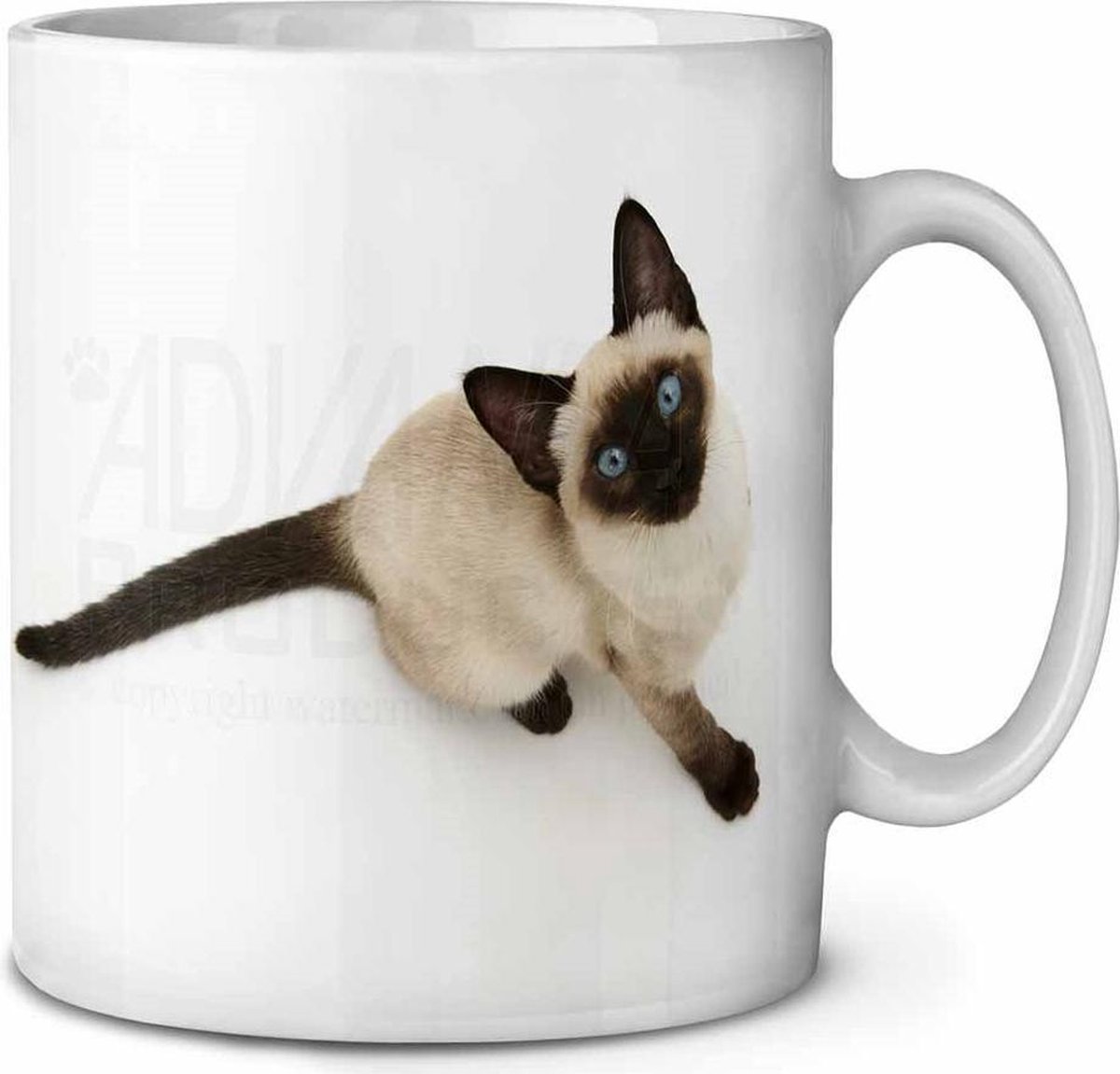 Siamese kitten Koffie-thee mok
