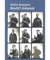 Brecht'i Anlamak