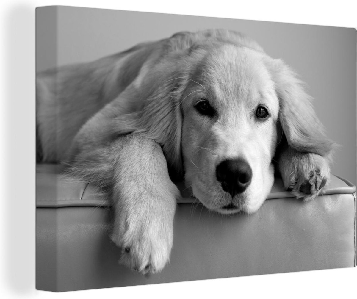 Peinture sur toile Un Golden Retriever noir et blanc 180x120