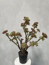 Vetplant / Succulentplant kunst in pot 73cm groen