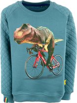 Stones & Bones Jongens Sweater Imagine Eddy Rex Petrol