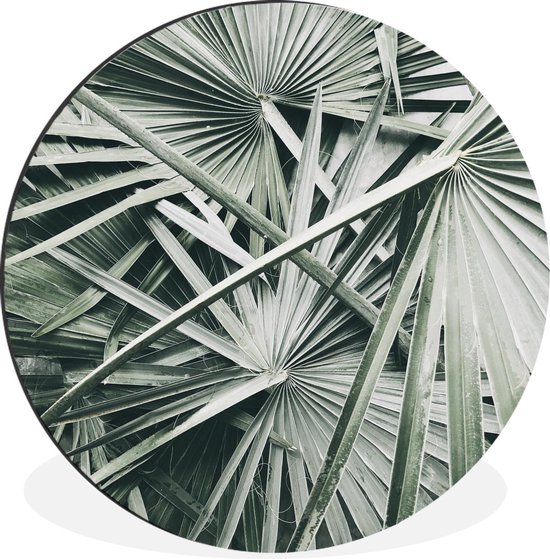 WallCircle - Wandcirkel - Muurcirkel - Tropical - Palmblad - Groen - Aluminium - Dibond - ⌀ 60 cm - Binnen en Buiten