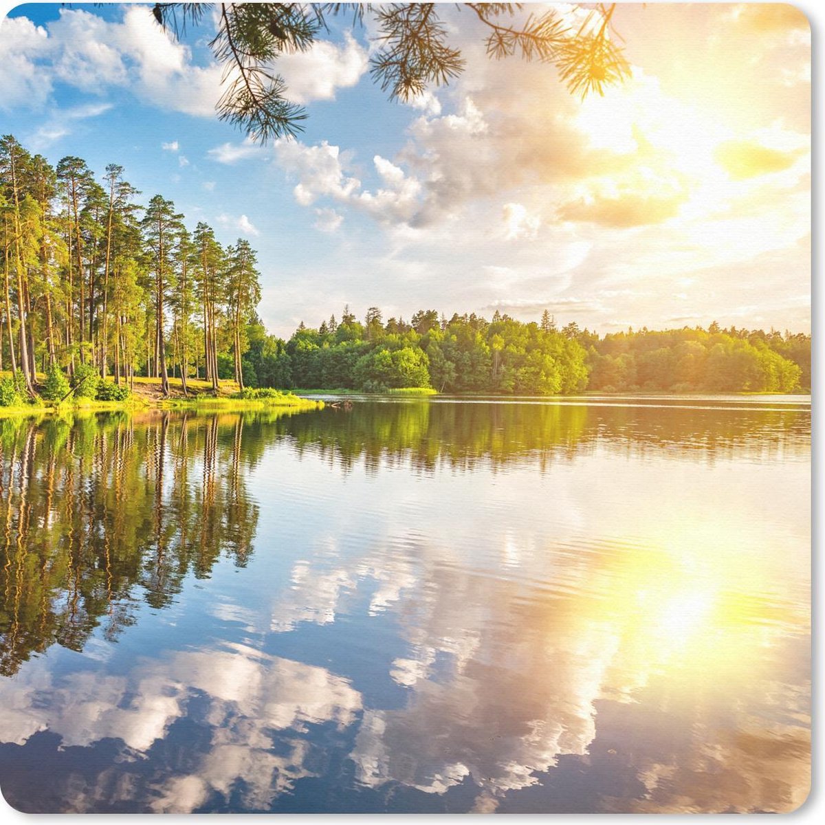 Muismat 20x20 cm - Mousepad Tropisch - Bomen - Water - Muismatten