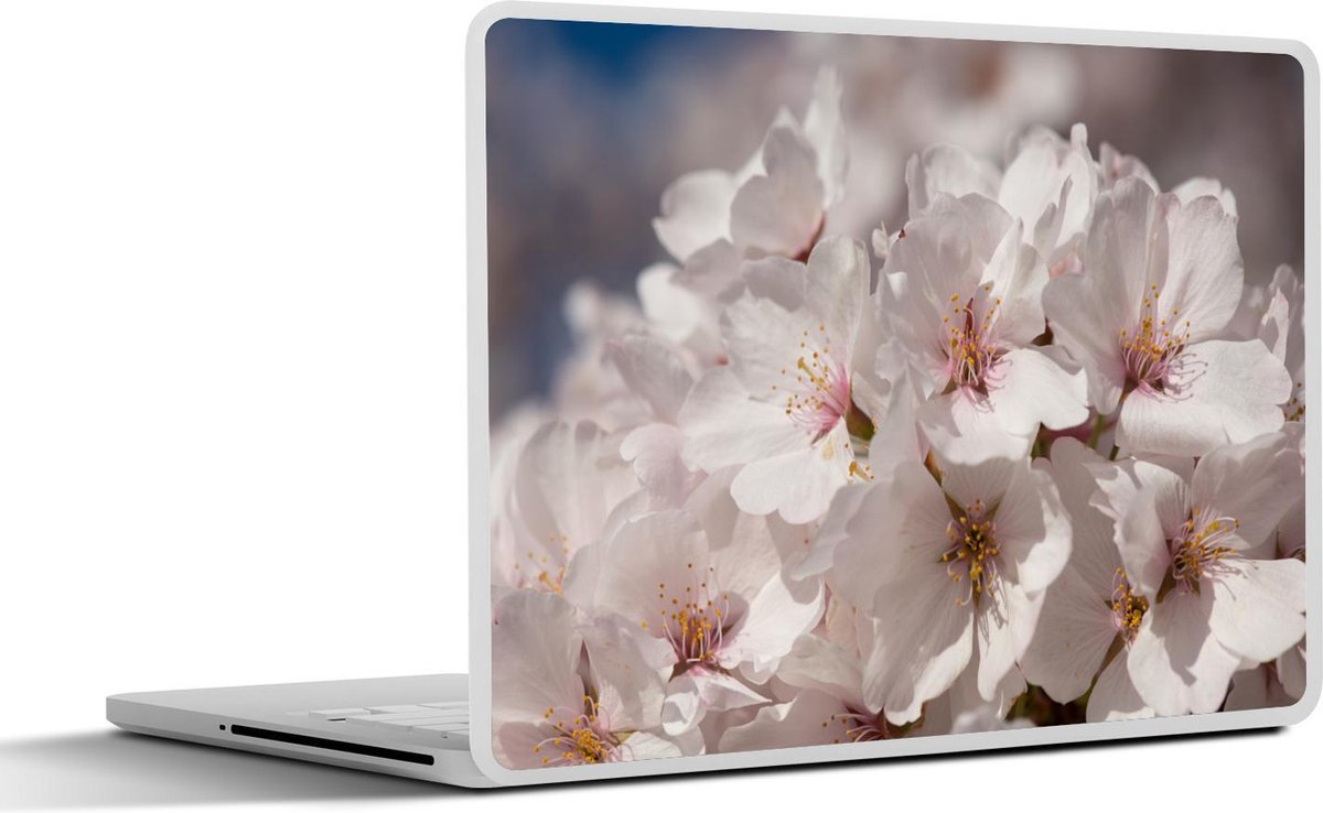Laptop sticker - 11.6 inch - Bloemen - Zon - Bloesem - 30x21cm - Laptopstickers - Laptop skin - Cover