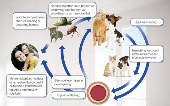 Beaphar Milquestra Kleine Hond/Puppy - Ontwormingsmiddel - 2 Tabletten