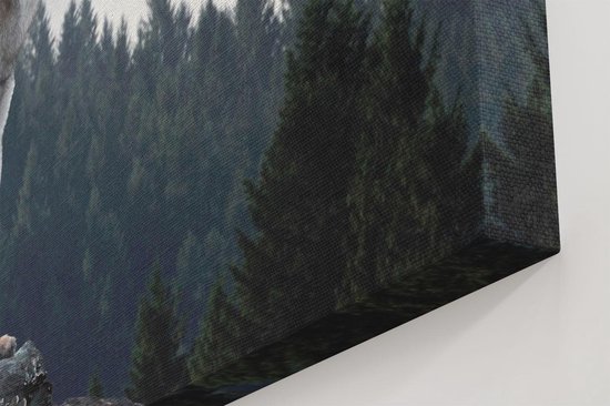 Artaza Peinture Sur Toile Loup Gris Dans Les Forêts - 120x40 - Groot - Photo Sur Toile - Impression Sur Toile