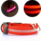 Lichtgevende Halsband Hond – LED Halsband – Verlichting hond – Hondenhalsband Puppy - Halsbandjes voor puppys – Rood - S
