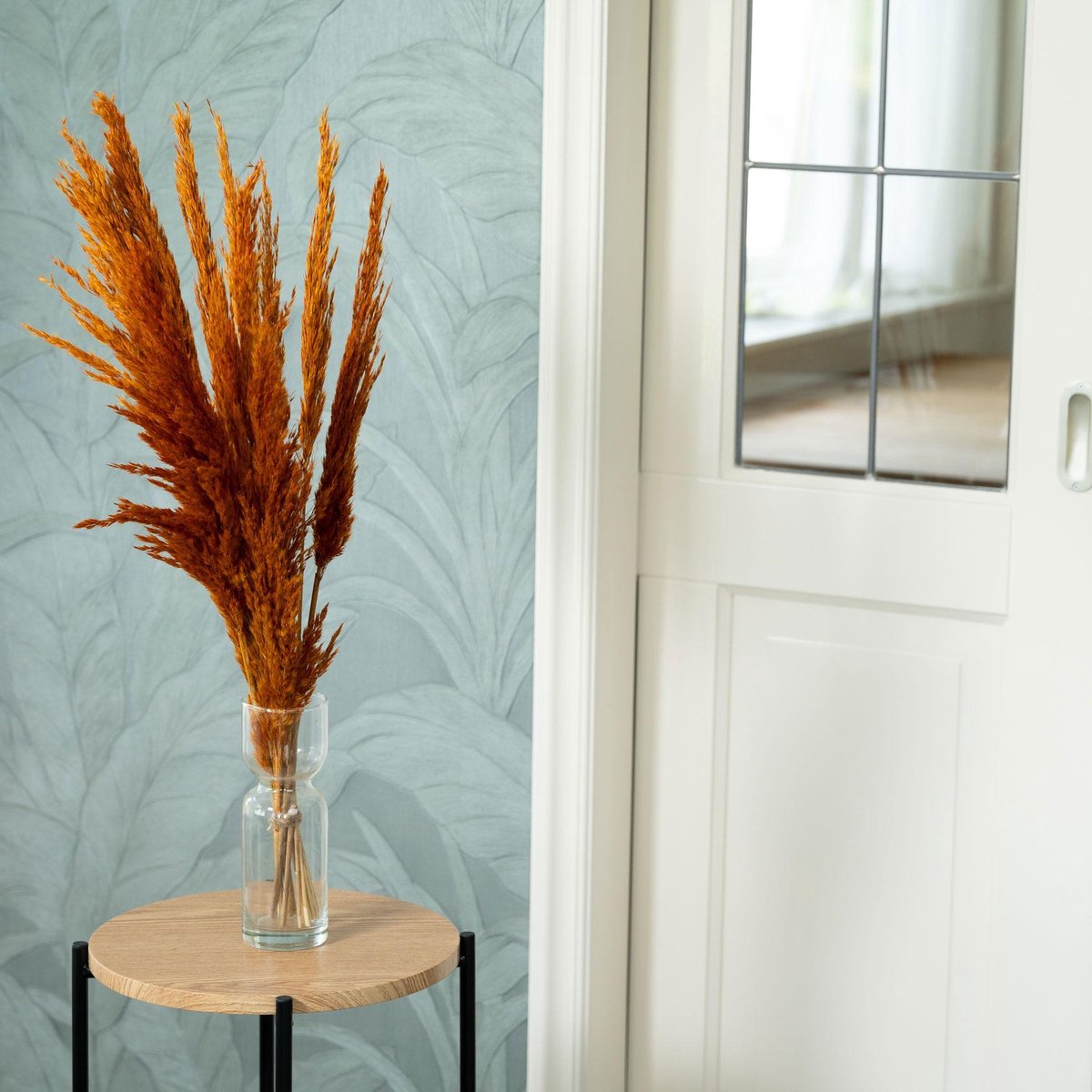 Droogbloem Pluimen - Terra - Pampasgras ↑ 80cm