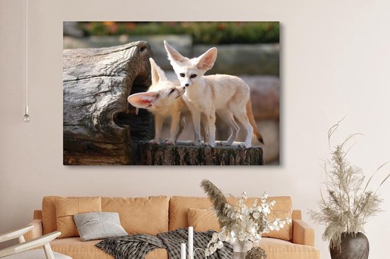 Deux adorables renards Fennec sur un tronc d'arbre Toile 180x120 cm - Tirage photo sur Toile (Décoration murale salon / chambre) / Animaux sauvages Peintures sur toile XXL / Groot format!