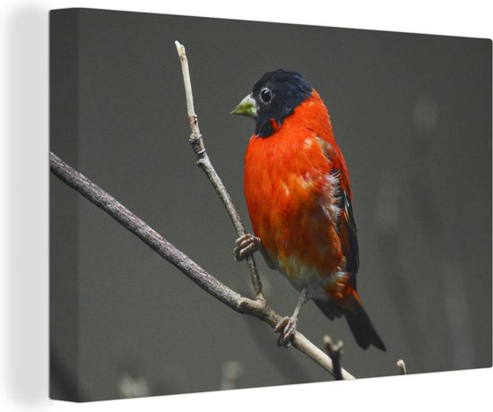 Tableau sur toile Vogel - Rouge - Branche - 180x120 cm - Décoration murale XXL