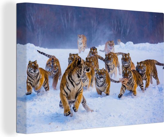 Canvas Schilderij Tijger - Sneeuw - Wilde dieren - Winter - 60x40 cm - Wanddecoratie