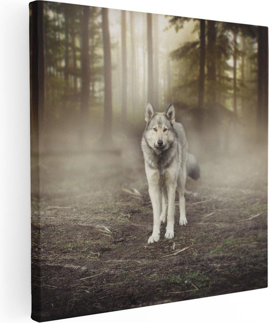 Artaza Canvas Schilderij Grijze Wolf In Het Bos - 40x40 - Klein - Foto Op Canvas - Canvas Print