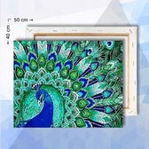 Schilderen Op Nummer pakket Pauw met staart - 40 x 50 cm - met frame