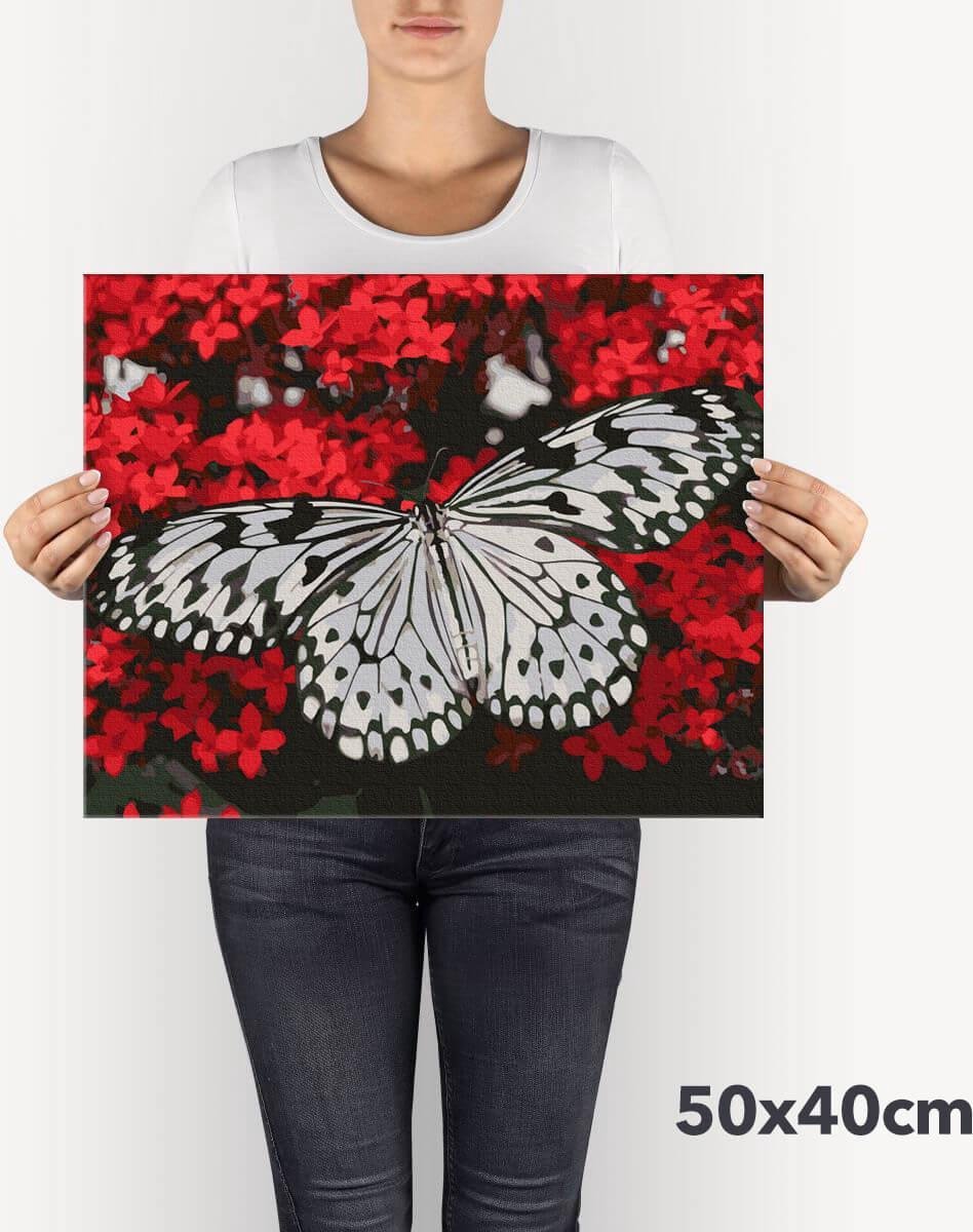 Schilderen Op Nummer Volwassenen DIY Paint By Number Compleet Hobby Pakket op Frame met Vernis - ®Arty Bee - Zwart & Wit Vlinder 50x40cm — afbeelding 9