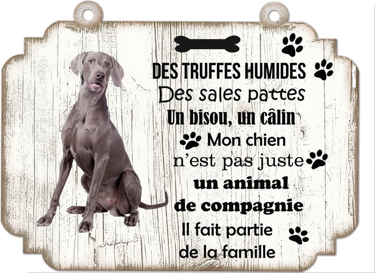 Tableau Déco - Weimaraner
