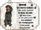 Tableau Déco - Allemand Korthals Chien