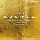 Isabelle Faust, Antoine Tamestit, Akademie Für Alte Musik Berlin - J.S. Bach: Johann Sebastian Bach Brandenburg C (2 CD)